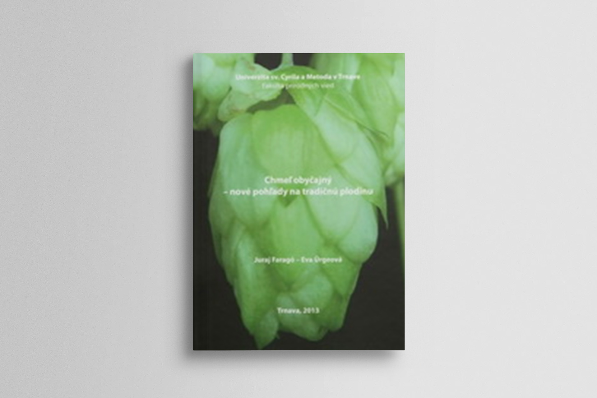 Chmeľ obyčajný - nové pohľady na tradičnú plodinu