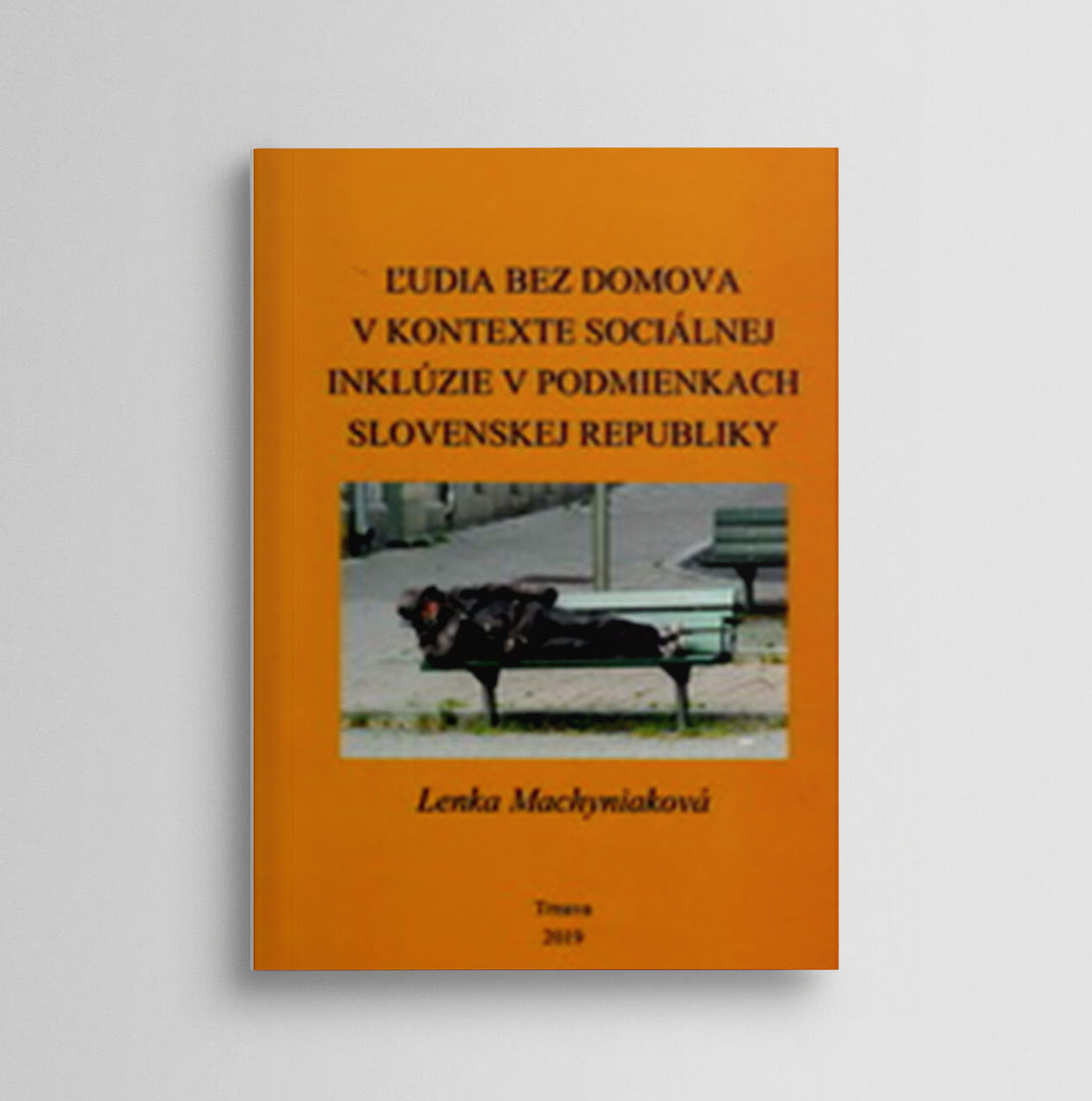 Ľudia bez domova v kontexte sociálnej inklúzie v podmienkach Slovenskej republiky