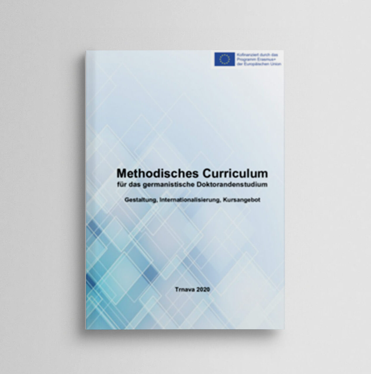Methodisches Curriculum fuer das germanistische Doktorandenstudium. Gestaltung, Internationalisierung, Kursangebot