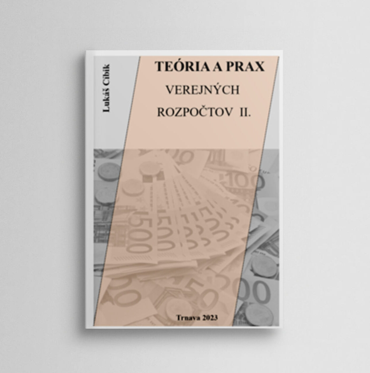 Teória a prax verejných rozpočtov II.