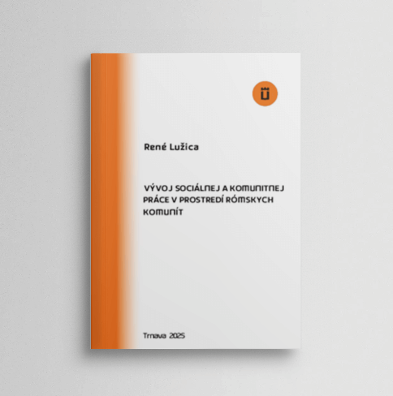 Vývoj sociálnej a komunitnej práce v prostredí
rómskych komunít